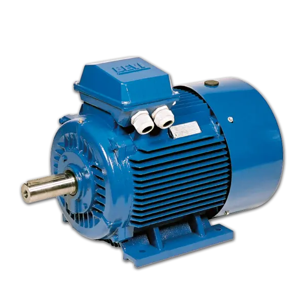 marine motor 1